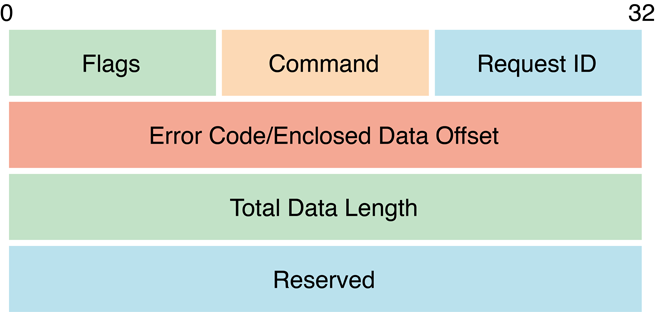 DSI header format