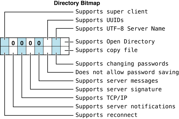 Bit usage in the ServerFlags parameter